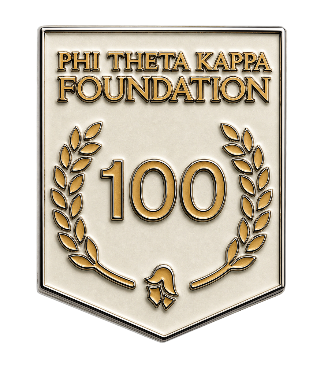 Foundation-Pin-100-image